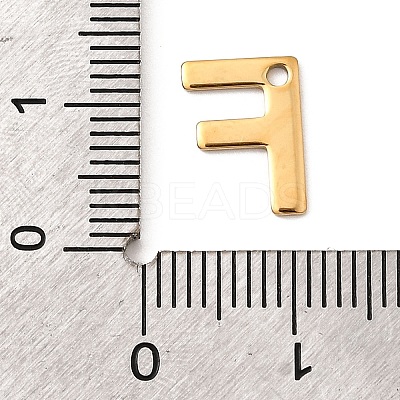 304 Stainless Steel Charms LS-STAS-B093-12G-F-1