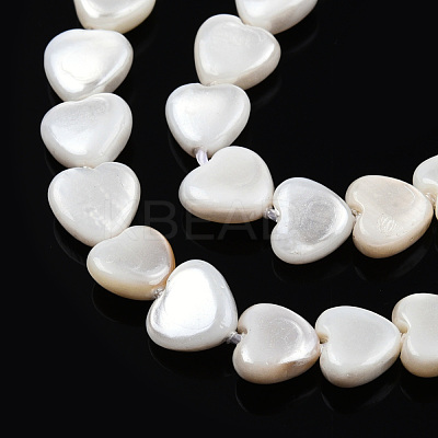 Natural Freshwater Shell Beads Strands SHEL-N026-220A-1