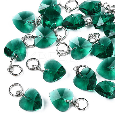 Faceted Transparent Glass Charms GLAA-T024-04F-1