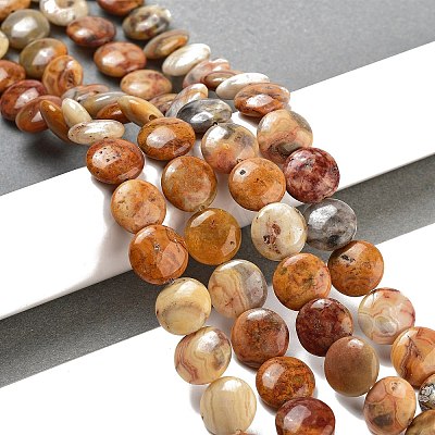 Flat Round Natural Crazy Lace Agate Beads Strands G-S110-12mm-05-1