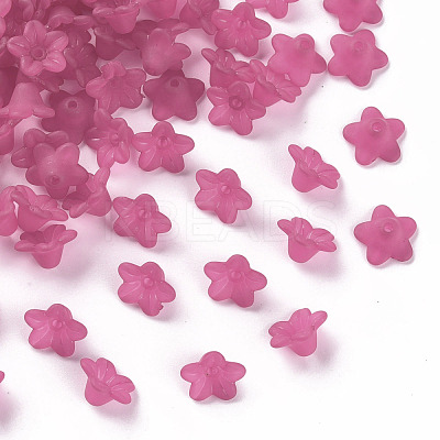 Transparent Acrylic Beads X-PL554-04-1