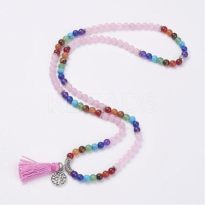 Natural Gemstone Beads Necklaces NJEW-F147-B07-1