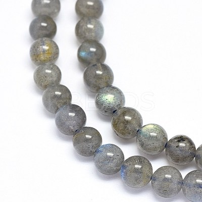 Natural Labradorite Beads Strands G-F602-04-6mm-1