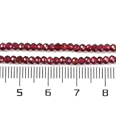Natural Garnet Beads Strands G-F770-D02-02-1