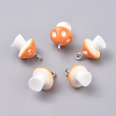 Plastic Pendants LS-KY-TAC0005-04F-1