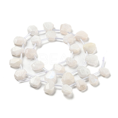 Natural Rainbow Moonstone Beads Strands G-Z040-A06-01-1