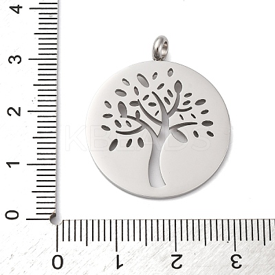 304 Stainless Steel Pendants STAS-P393-03P-1