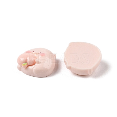Opaque Resin Decoden Cabochons LS-RESI-K040-01C-1