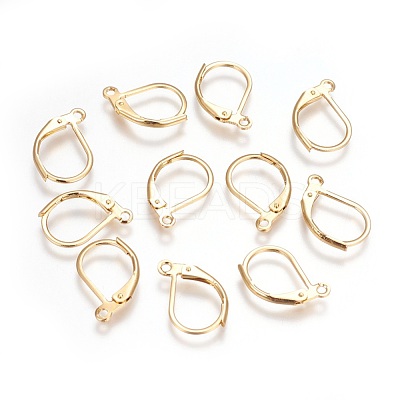 304 Stainless Steel Leverback Earrings Findings STAS-P227-47G-1