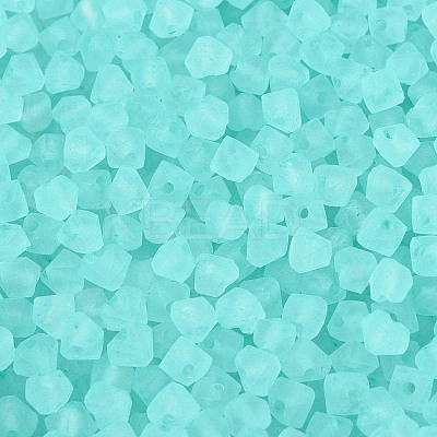 FGB Frosted Transparent Glass Seed Beads SEED-N013-03A-10-1
