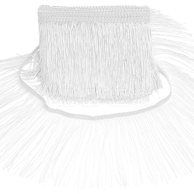 10 Yards Polyester Fringe Lace Trims OCOR-WH0080-97A-1