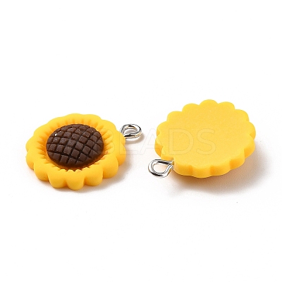 Resin Pendants X-RESI-C002-27-1