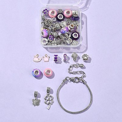 DIY European Charm Bracelets Jewelry Kit DIY-FS0005-64-1