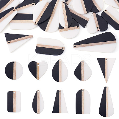 20Pcs 10 Styles Resin & Natural Wood Pendants RESI-TA0004-48-1