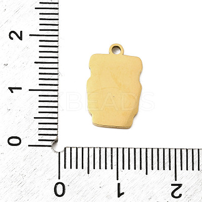 304 Stainless Steel Enamel Pendants STAS-I336-01G-01-1