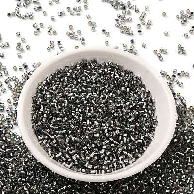 Glass Seed Beads X-SEED-S042-04B-31-1