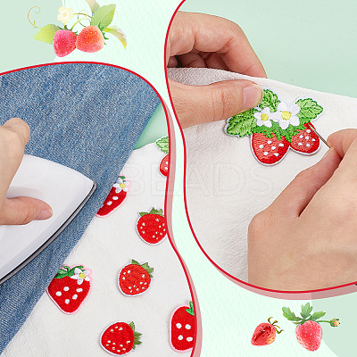 12Pcs 3 Styles Strawberry Computerized Embroidery Cloth Iron on/Sew on Patches PATC-PH0001-36-1