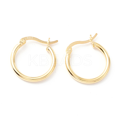 925 Sterling Silver Hoop Earrings STER-P047-13B-G-1