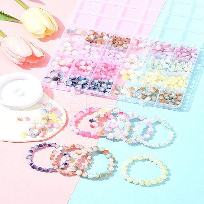 648Pcs 24 Styles Frosted Baking Paint Crackle Glass Beads with Glitter Powder DGLA-FS0001-12-1