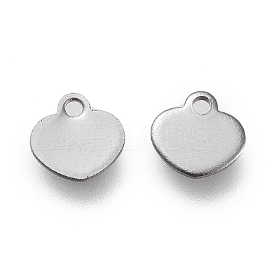 Non-Tarnish 304 Stainless Steel Charms STAS-K195-14P-1