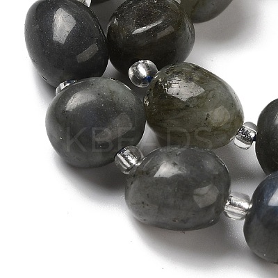 Natural Larvikite Beads Strands G-Q169-E05-01-1