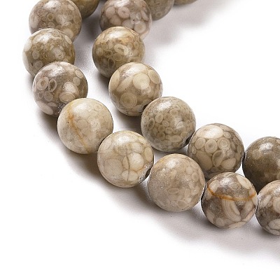 Natural Maifanite/Maifan Stone Beads Strands G-I187-4mm-01-1