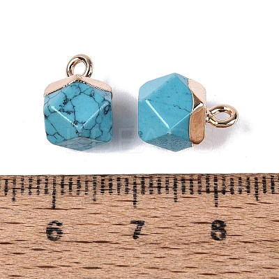 Dyed Synthetic Turquoise Pendants G-N359-18G-21-1