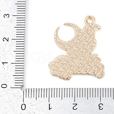 Alloy Pendants ENAM-R004-03KCG-02-1