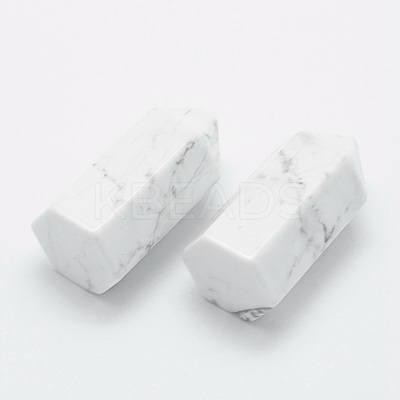 Natural Howlite Pointed Beads G-G760-K14-1