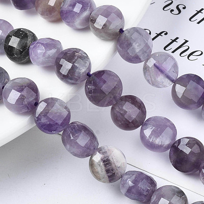 Natural Amethyst Beads Strands G-S359-371-1