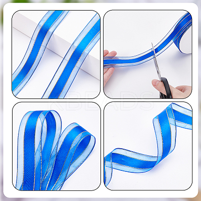 Polyester Ribbon OCOR-WH0110-42B-1