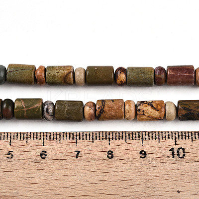Natural Picasso Jasper/Polychrome Jasper Beads Strands G-N346-03A-05-1