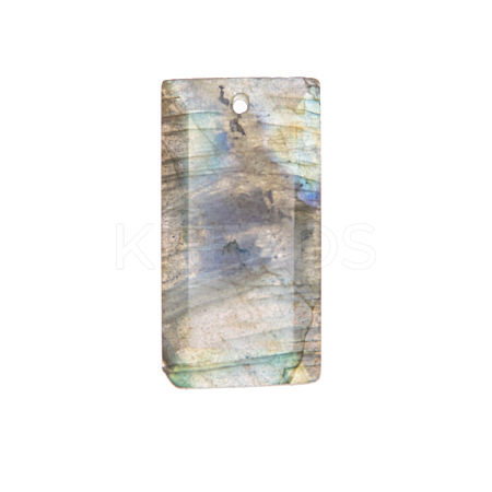 Natural Labradorite Pendants PW-WG07E98-05-1