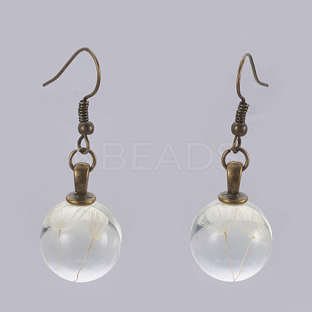 Dried Dandelion Inside Glass Bead Dangle Earrings EJEW-JE02764-1