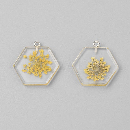 Transparent Clear Resin Pendants RESI-TAC0007-07D-1