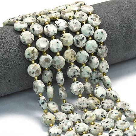 Natural Sesame Jasper Beads Strands G-C116-A141-01-1