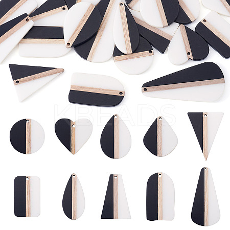 20Pcs 10 Styles Resin & Natural Wood Pendants RESI-TA0004-48-1