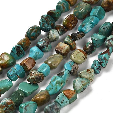 Natural HuBei Turquoise Beads Strands X-G-P497-01E-19-1