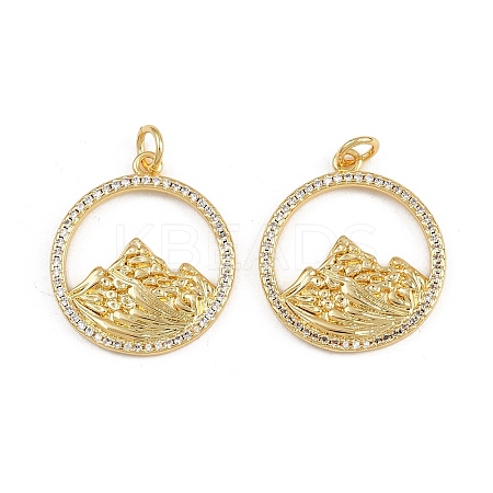 Brass Micro Pave Cubic Zirconia Pendants KK-A269-59G-1