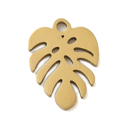 304 Stainless Steel Charms STAS-S123-01G-06-1