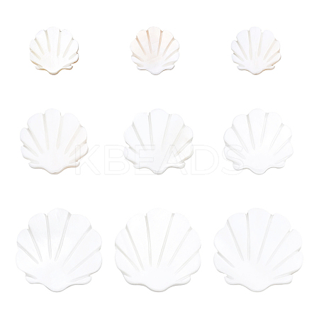 BENECREAT 30Pcs 3 Sizes Natural Freshwater Shell Beads SHEL-BC0001-008-1