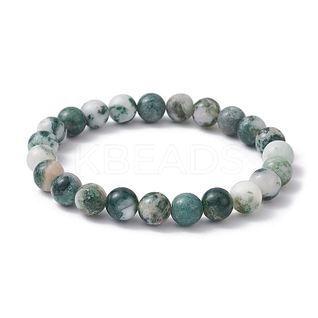 Natural Tree Agate Round Bead Stretch Bracelets for Women BJEW-JB09871-1