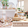 Transparent Acrylic Place Card & Wood Card Holder Set ODIS-WH0038-62-6