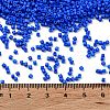 Baking Paint Glass Seed Beads SEED-S042-05B-77-4