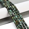 Natural African Turquoise(Jasper) Beads Strands X-G-A220-B03-01-2