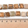 Natural Picture Jasper Beads Strands G-F802-B06-01-5