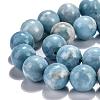 Natural Gemstone Beads Strands G-L367-01-6mm-5