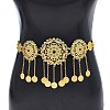 Alloy Colorful Rhinestone Flower Coin Tassel Waist Belly Chains for Women FS-WGD7CCF-01-1