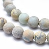 Natural Aqua Terra Jasper Beads Strands G-N0128-48F-8mm-4