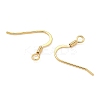 SHEGRACE Brass Earring Hooks XGR0139G-152G-2